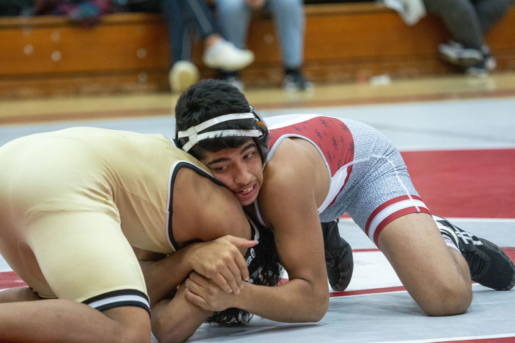 Tigers wrestling